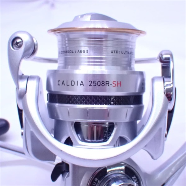 １１カルディア２５０８Ｒ－ＳＨ